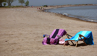 Beach Looking West